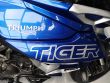 TIGER 800 XR X