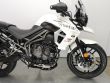 TIGER 800 XR X