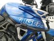 TIGER 800 XRT