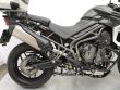 TIGER 800 XRT