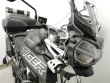 TIGER 800 XRT