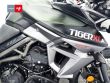 TIGER 800 XC A