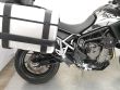 TIGER 900 GT
