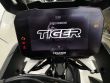 TIGER 900 GT PRO