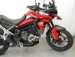 TIGER 900 GT PRO