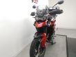 TIGER 900 GT PRO
