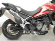 TIGER 900 GT PRO