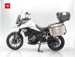TIGER 900 GT PRO