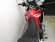 TIGER 900 GT PRO