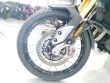 TIGER 900 RALLY PRO