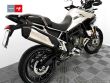 TIGER 900 RALLY PRO