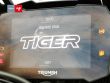 TIGER 900 RALLY PRO