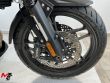 TIGER 1200 ALPINE EDITION