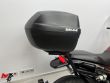LEONCINO 500
