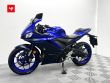 YZF-R3