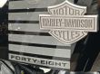 SPORTSTER FORTY-EIGHT