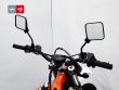 FREERIDE 250 R