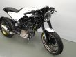 VITPILEN 401