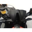 1290 SUPER DUKE R ABS