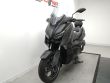 X-MAX 300