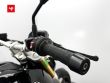 R 1250 R