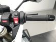 R 1250 RS