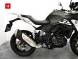 G 310 GS