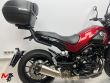 LEONCINO 500