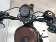 SPORTSTER 883 IRON
