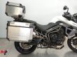 TIGER 800 XRT
