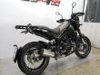 LEONCINO 500 TRAIL