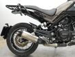 LEONCINO 500 TRAIL