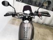 LEONCINO 500 TRAIL