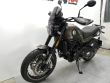 LEONCINO 500 TRAIL