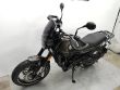 LEONCINO 500 TRAIL