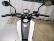 LEONCINO 125