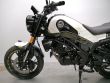 LEONCINO 125