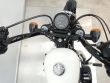 SPORTSTER FORTY-EIGHT