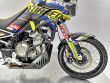TUAREG 660