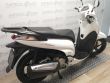 SCOOPY SH300I ABS TOPBOX