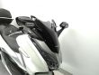 FORZA 300