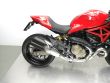 MONSTER 821
