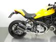 MONSTER 821