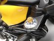 MONSTER 821