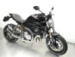MONSTER 821