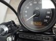 SPORTSTER FORTY-EIGHT