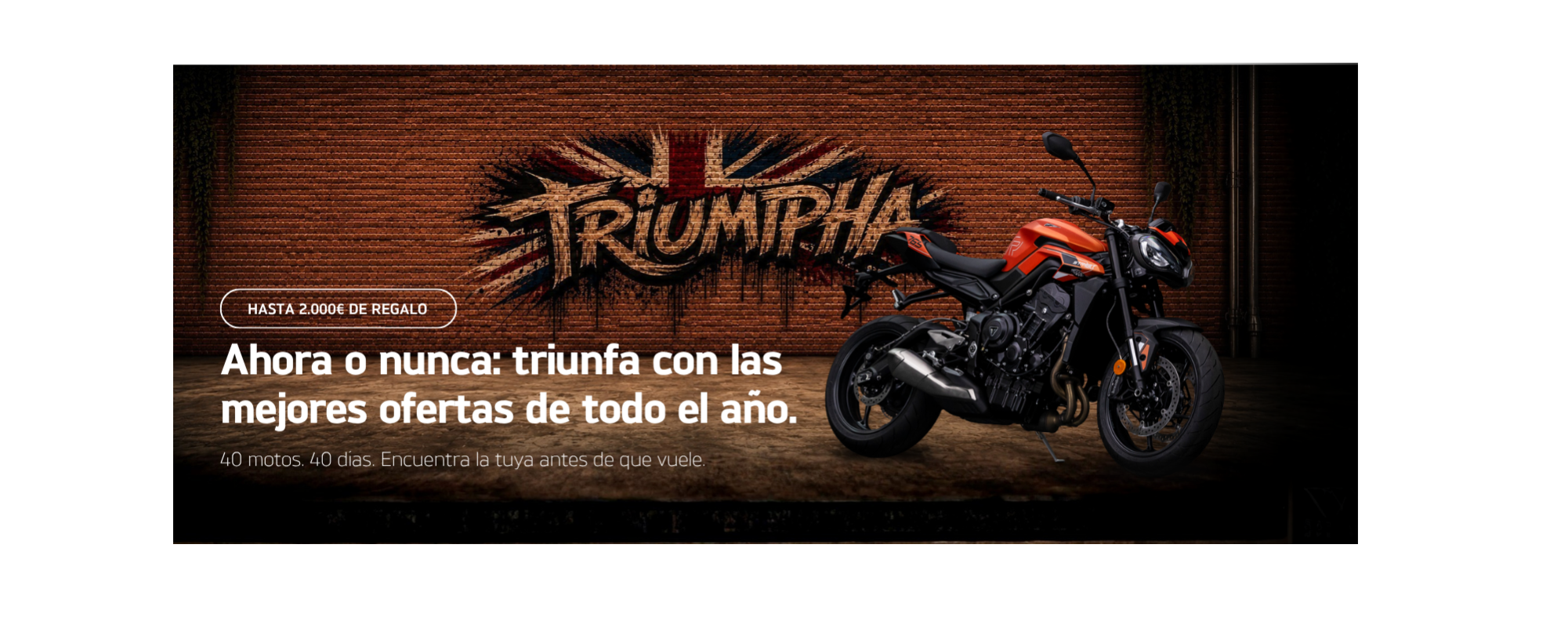 banner_triumpha_pc